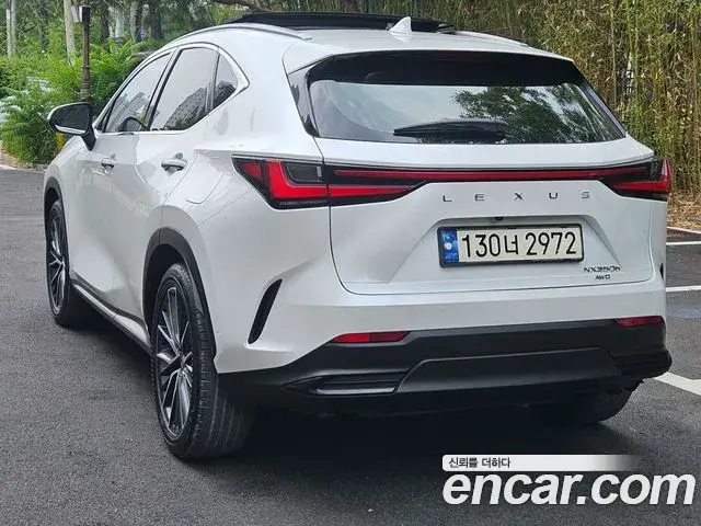 Lexus NX350h 2023 — ფოტო 13/20