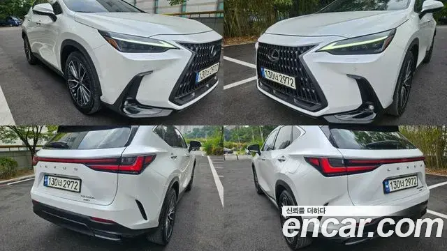 Lexus NX350h 2023 — ფოტო 4/20