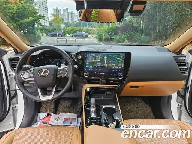 Lexus NX350h 2023 — ფოტო 2/20