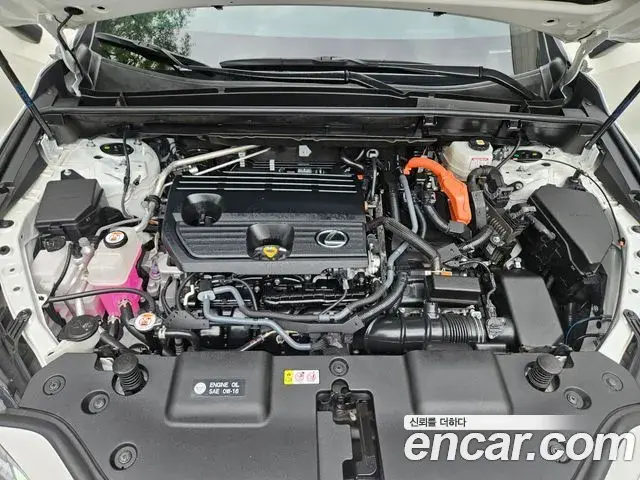 Lexus NX350h 2023 — ფოტო 8/20