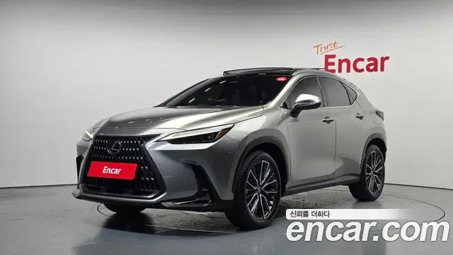 Lexus NX350h 2023 — ფოტო 28/32