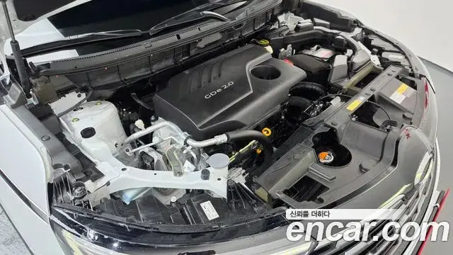 Renault Samsung QM6 2024 — ფოტო 12/32