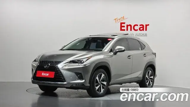 Lexus NX300h 2021 — ფოტო 2/32