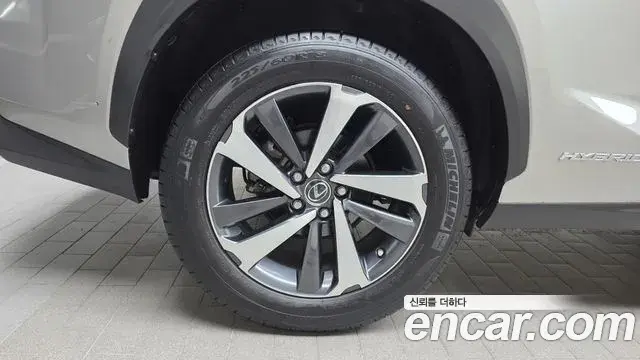 Lexus NX300h 2021 — ფოტო 17/32