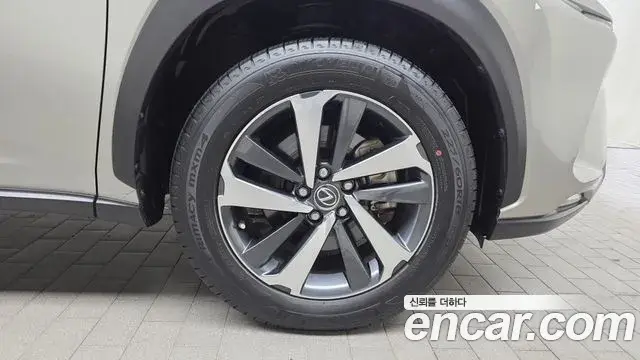 Lexus NX300h 2021 — ფოტო 20/32