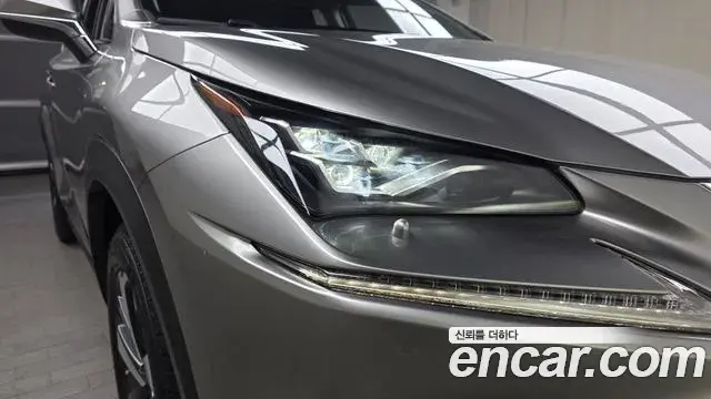 Lexus NX300h 2021 — ფოტო 18/32