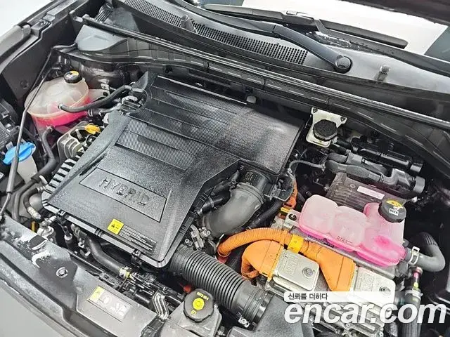 Kia Niro 2021 — Фото 4/19