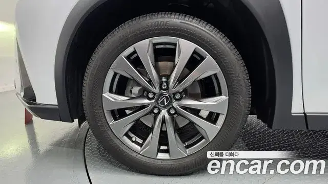 Lexus UX250h 2024 — Photo 20/30