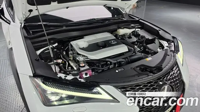 Lexus UX250h 2024 — Photo 21/30