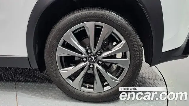 Lexus UX250h 2024 — Photo 6/30