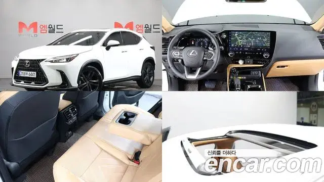 Lexus NX350h 2026 — ფოტო 8/19