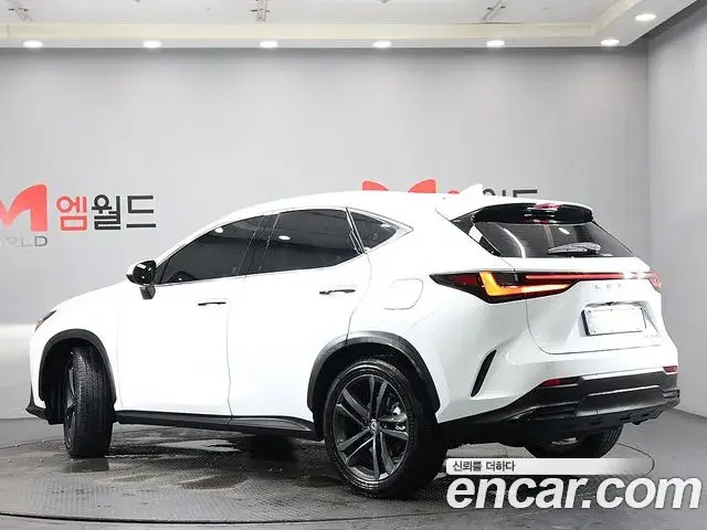 Lexus NX350h 2026 — ფოტო 10/19