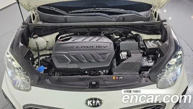 Kia Sportage The Bold 2019 — Фото 6/20