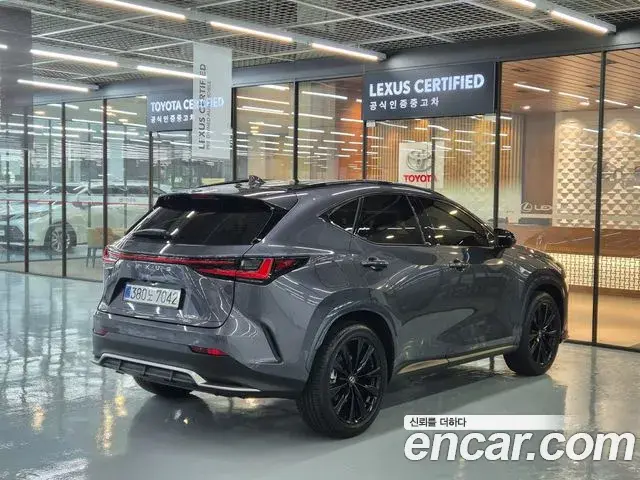 Lexus NX450h+ 2025 — Şəkil 16/20