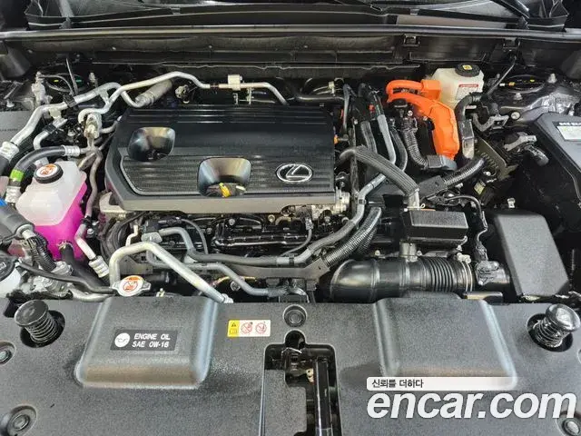 Lexus NX450h+ 2025 — Şəkil 12/20