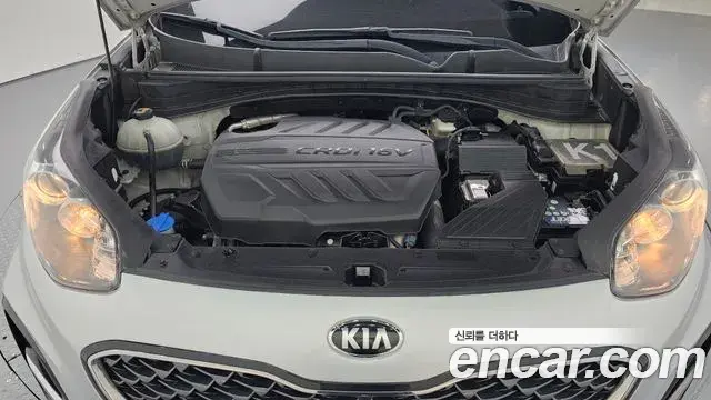 Kia Sportage The Bold 2019 — Фото 6/20