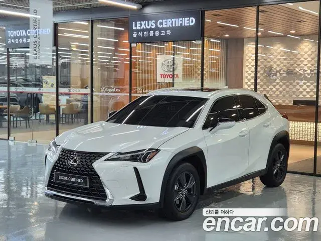 Lexus UX300h 2025 — ფოტო 20/20