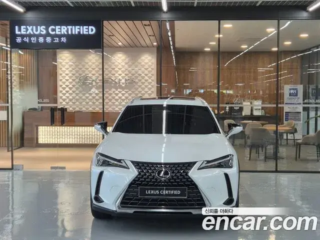 Lexus UX300h 2025 — ფოტო 2/20