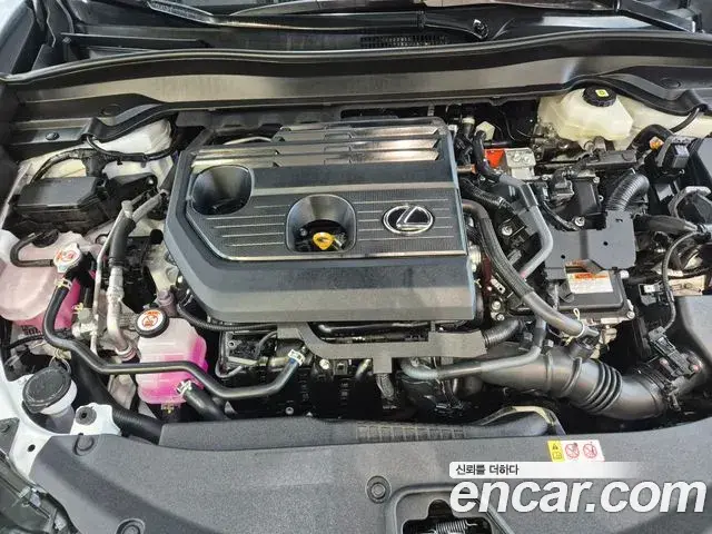 Lexus UX300h 2025 — ფოტო 5/20