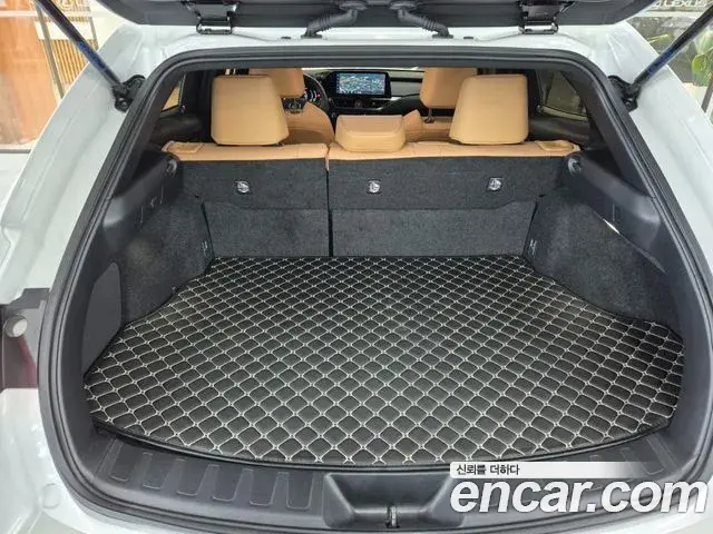 Lexus UX300h 2025 — ფოტო 19/20