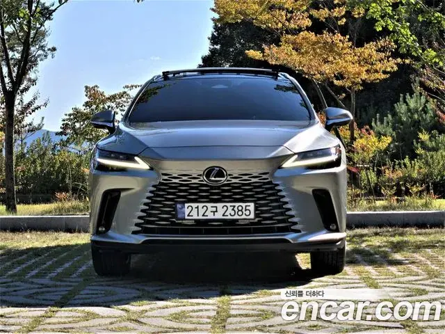 Lexus RX350h 2024 — ფოტო 2/20
