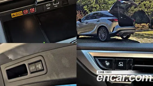 Lexus RX350h 2024 — ფოტო 20/20