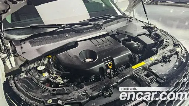 Land Rover Range Rover Evoque 2019 — ფოტო 4/20