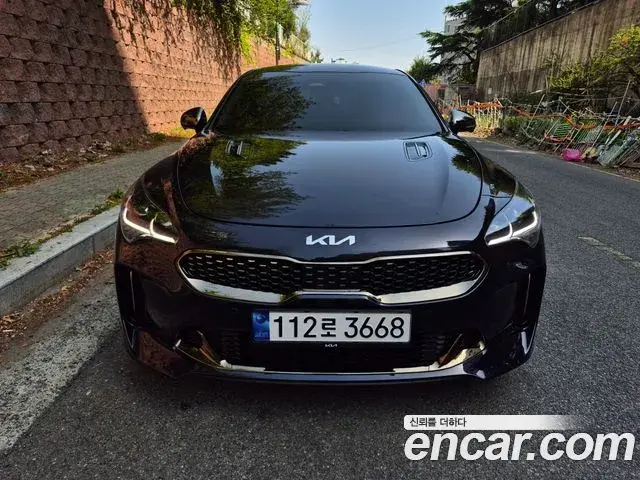 Kia Stinger Meister 2021 — ფოტო 3/20