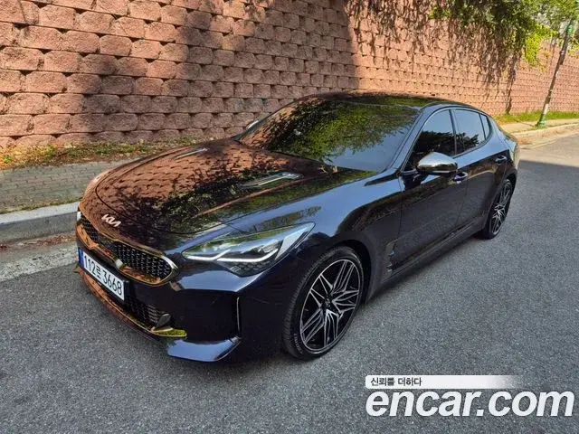 Kia Stinger Meister 2021 — ფოტო 16/20