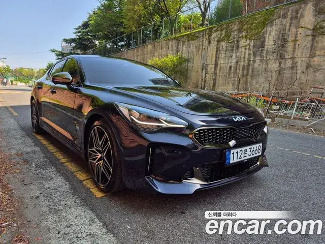 Kia Stinger Meister 2021 — ფოტო 19/20