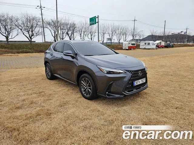 Lexus NX450h+ 2023 — Photo 7/20