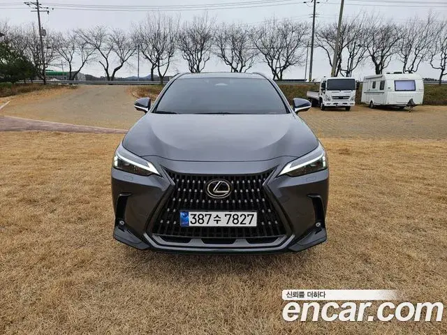 Lexus NX450h+ 2023 — Photo 1/20