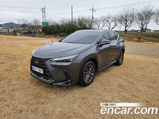 Lexus NX450h+ 2023 — Photo 10/20