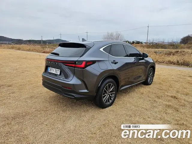 Lexus NX450h+ 2023 — Photo 8/20