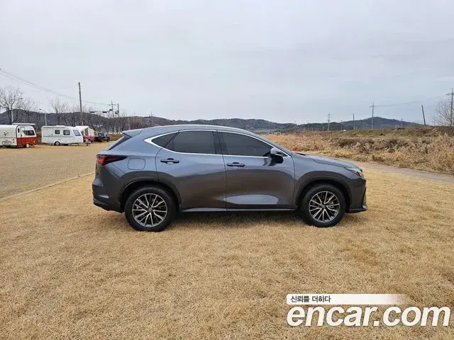 Lexus NX450h+ 2023 — Photo 14/20