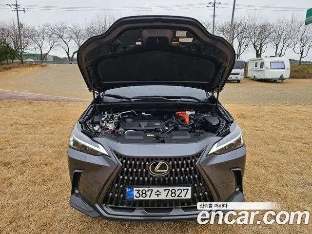Lexus NX450h+ 2023 — Photo 6/20