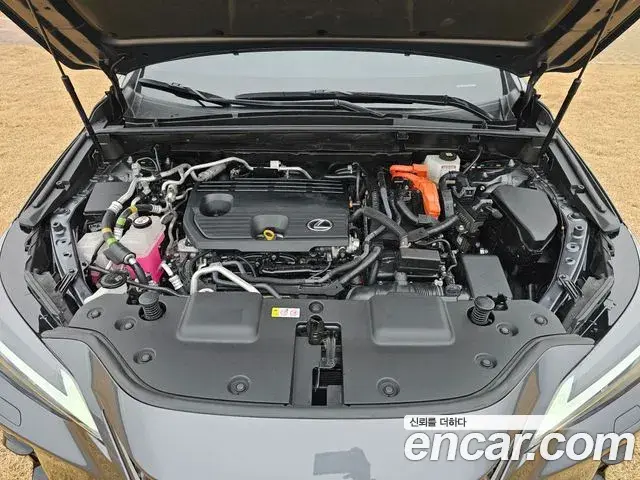 Lexus NX450h+ 2023 — Photo 3/20