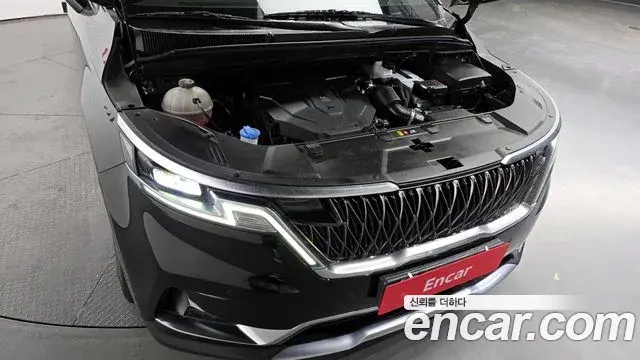 Kia Carnival 2020 — Фото 5/20