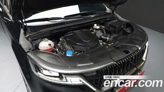 Kia Carnival 2021 — Photo 7/20