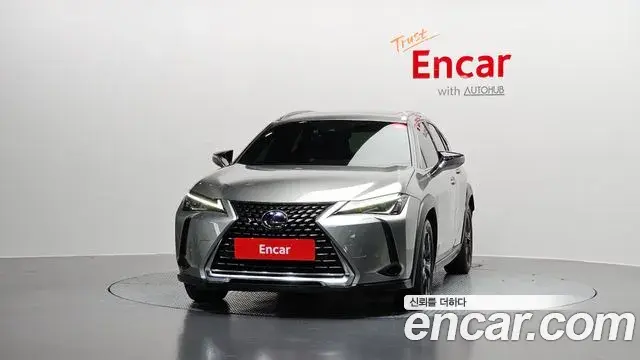 Lexus UX250h 2020 — Photo 19/20