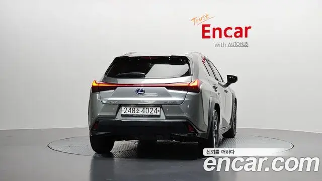 Lexus UX250h 2020 — Photo 12/20