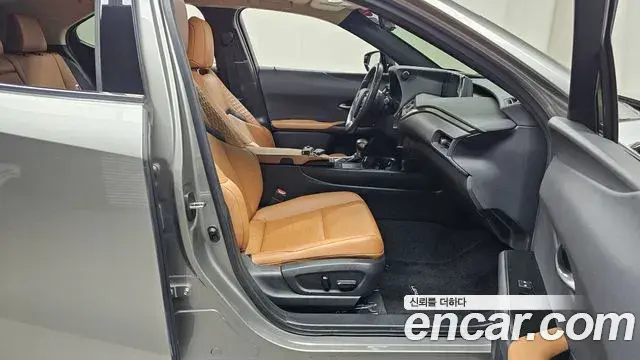 Lexus UX250h 2020 — Photo 18/20