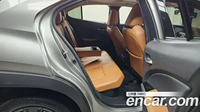 Lexus UX250h 2020 — Photo 13/20