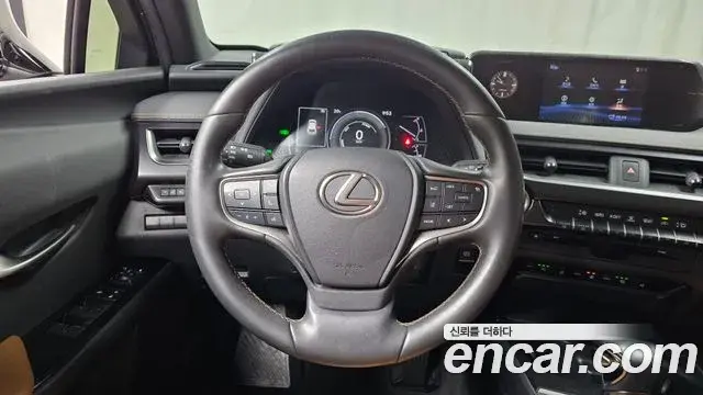 Lexus UX250h 2020 — Photo 10/20