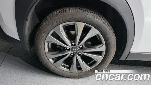 Lexus UX250h 2023 — Photo 16/20