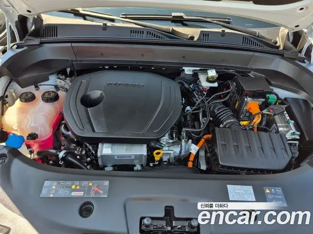 Renault Samsung Grand Koleos 2025 — Şəkil 19/20