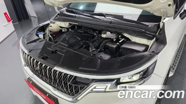 Kia Carnival 2021 — Фото 6/20