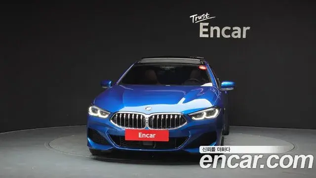 BMW 8 Series 2020 — Photo 17/31