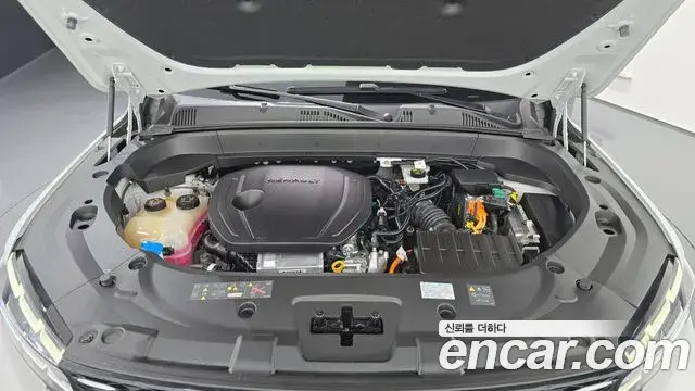 Renault Samsung Grand Koleos 2024 — Şəkil 10/32