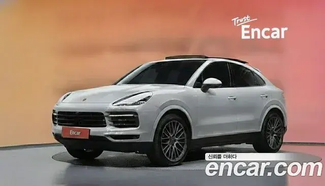 Porsche Cayenne 2022 — ფოტო 31/33